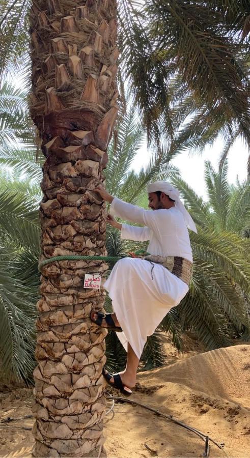 Hotel Liwa Nights ليالي ليوا Extérieur photo